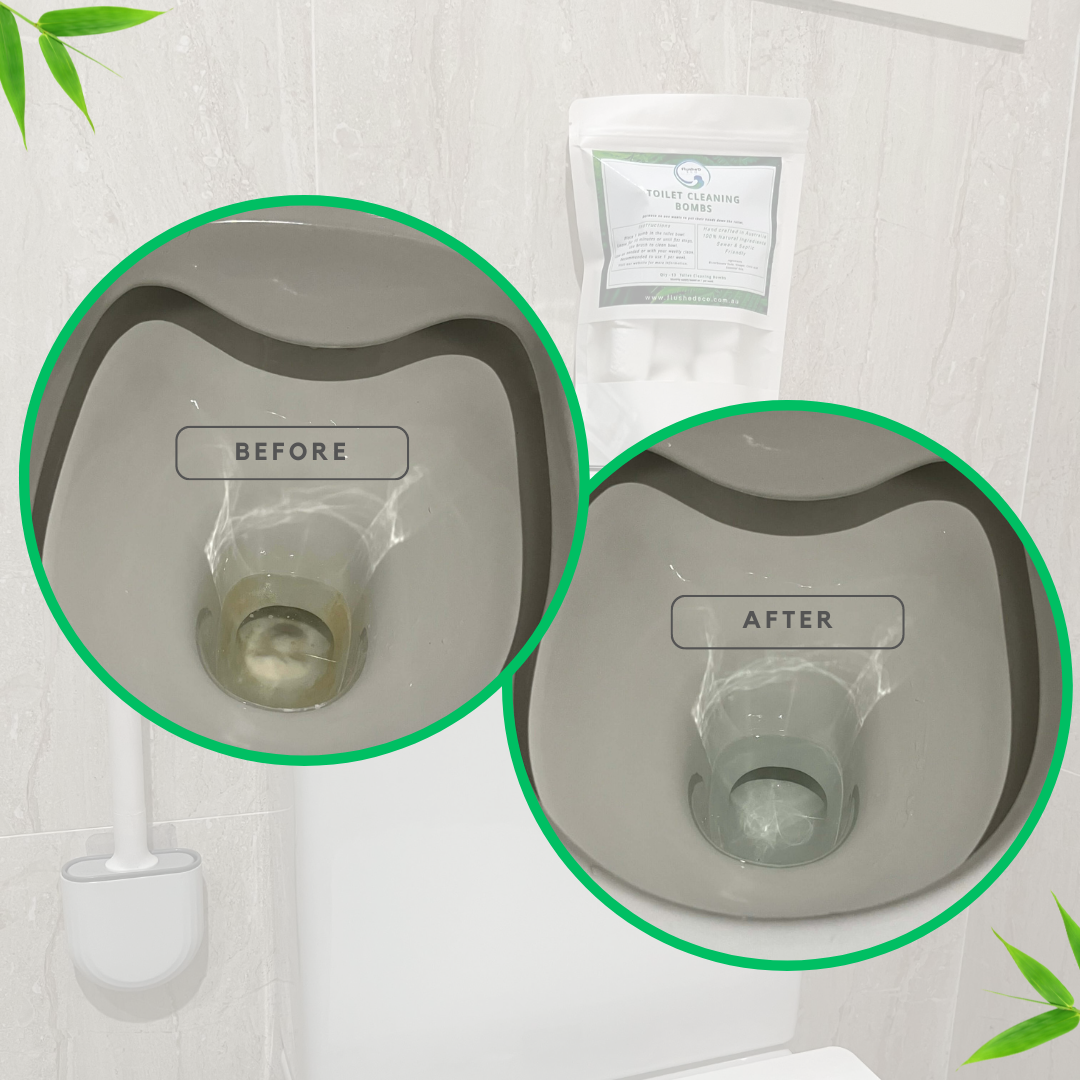 EcoFriendly Toilet Cleaning Bombs FlusheD ECO